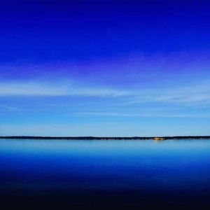 Meet your Posher, Trevor